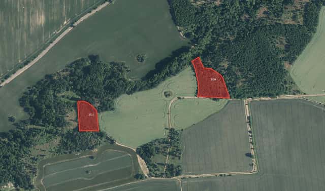 Prodej lesa 23 194 m², Kryry – Stebno, okres Louny