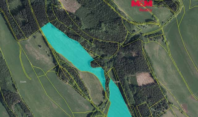 Prodej louky 61 251 m², Stárkov – Bystré, okres Náchod