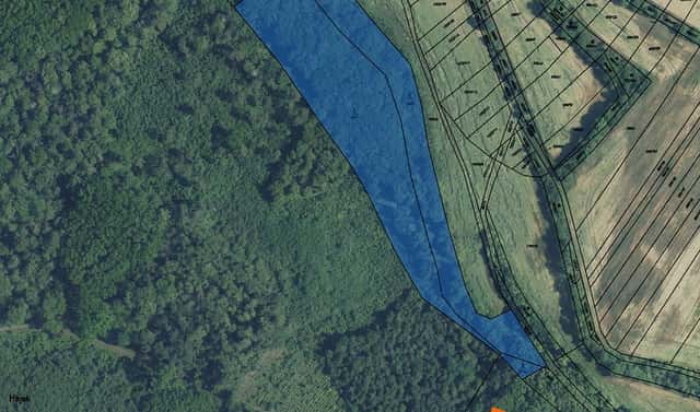 Prodej lesa 1 078 m², Čejkovice, okres Hodonín