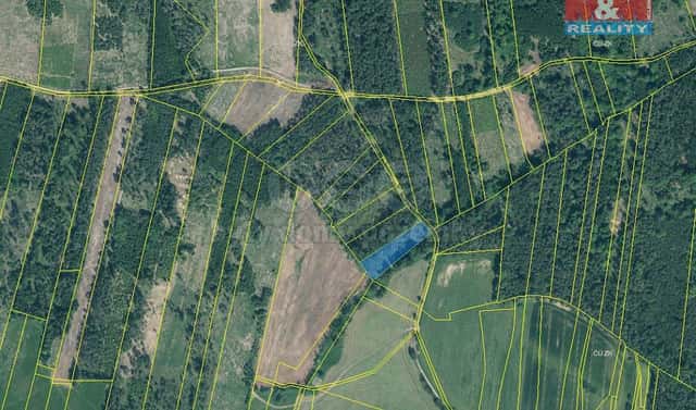 Prodej lesa 3 625 m², Jetětice, okres Písek
