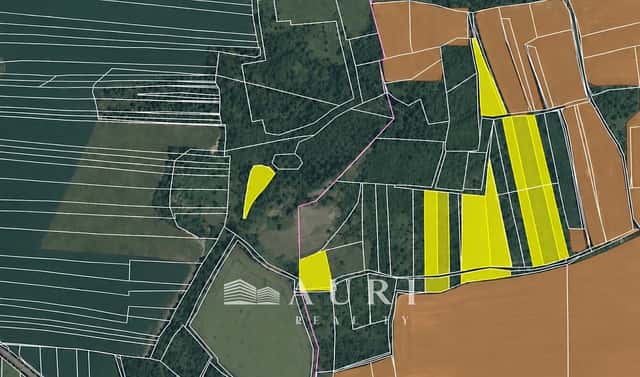 Prodej pozemku 43 822 m², Libochovice – Dubany, okres Litoměřice