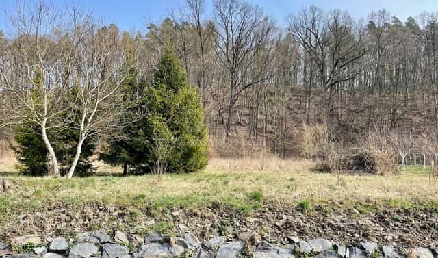 Prodej stavebního pozemku 2 948 m², Bílovec – Stará Ves, okres Nový Jičín