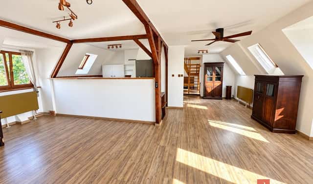 Prodej bytu 4+kk 165 m², Podkrušnohorská, Litvínov – Horní Litvínov, okres Most