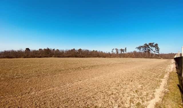 Prodej zahrady 7 000 m², Dobšice, okres Znojmo