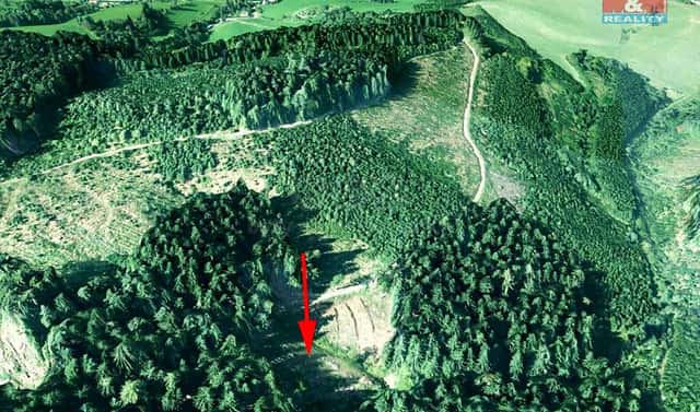 Prodej lesa 2 930 m², Lhota u Vsetína, okres Vsetín