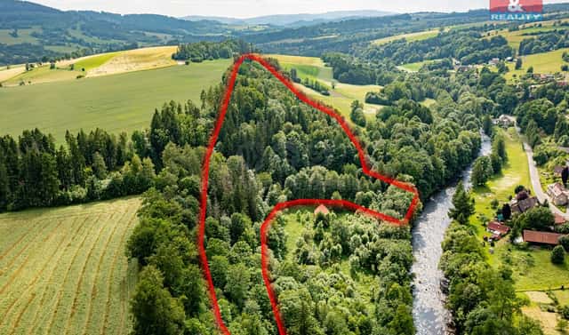 Prodej lesa 36 610 m², Peřimov, okres Semily