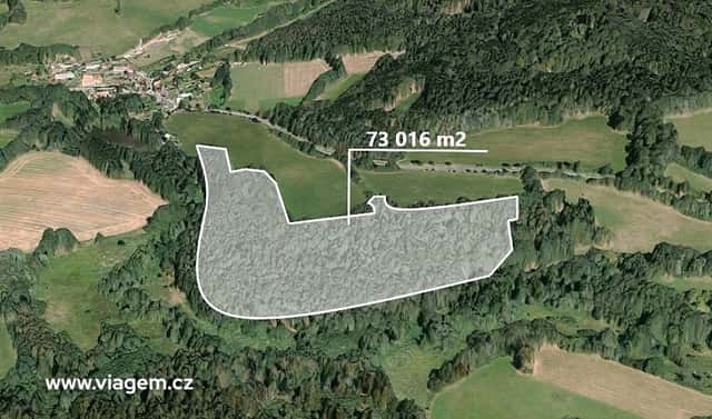 Prodej lesa 7 020 m², Čmelíny, okres Plzeň-jih