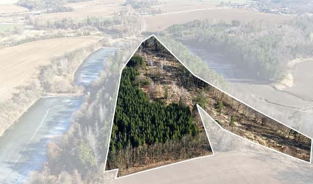 Prodej lesa 35 440 m², Chotoviny – Liderovice, okres Tábor