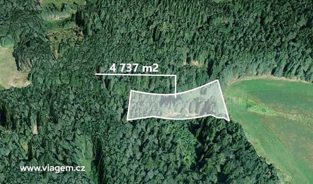 Prodej lesa 2 072 m², Studnice, okres Chrudim