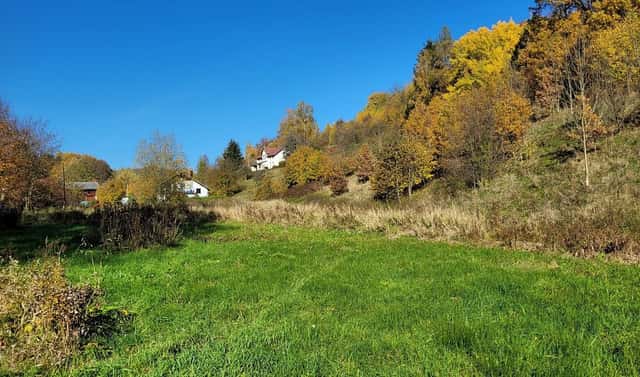 Prodej stavebního pozemku 4 996 m², Heřmánkovice, okres Náchod