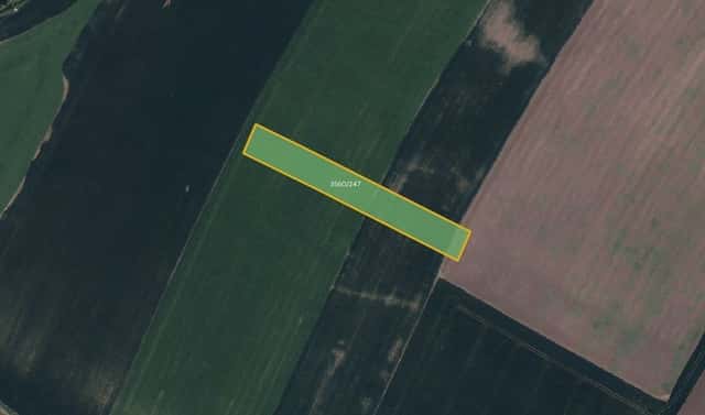 Prodej pole 10 860 m², Klobouky u Brna, okres Břeclav