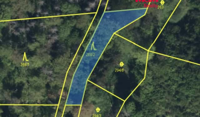 Prodej lesa 562 m², Řepníky, okres Ústí nad Orlicí