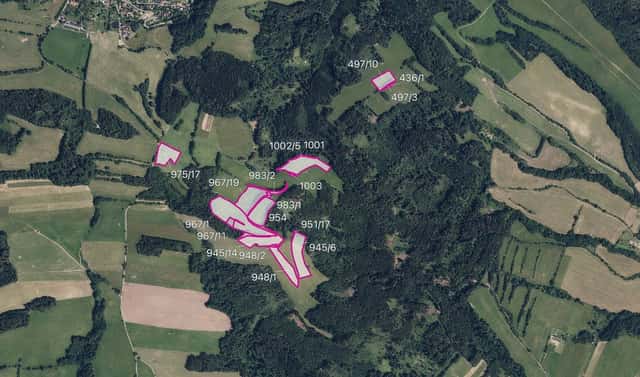 Prodej louky 100 708 m², Postřelmůvek, okres Šumperk