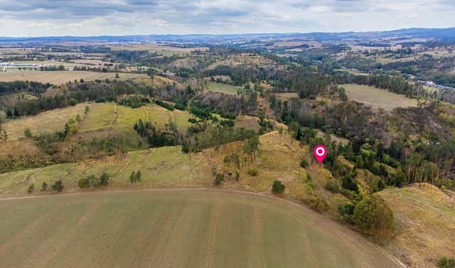 Prodej lesa 3 047 m², Vladislav – Střížov, okres Třebíč