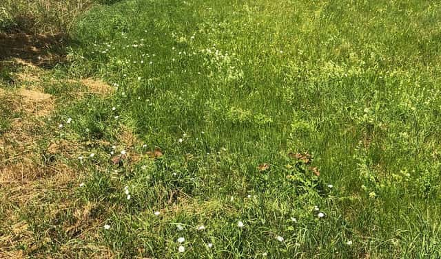 Prodej stavebního pozemku 1 350 m², Líšťany – Lipno, okres Plzeň-sever