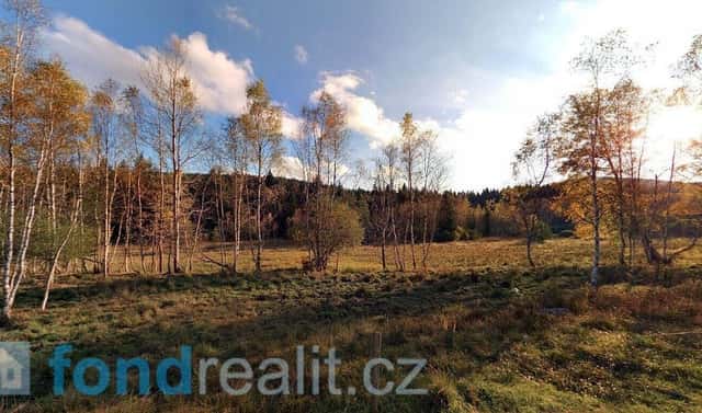 Prodej pozemku 87 889 m², Loučovice, okres Český Krumlov