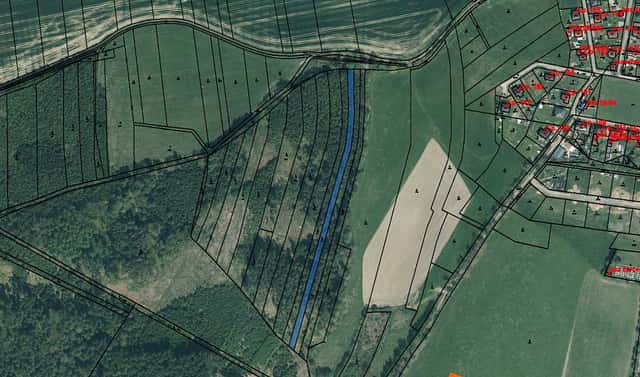 Prodej lesa 3 112 m², Střížovice, okres Plzeň-jih