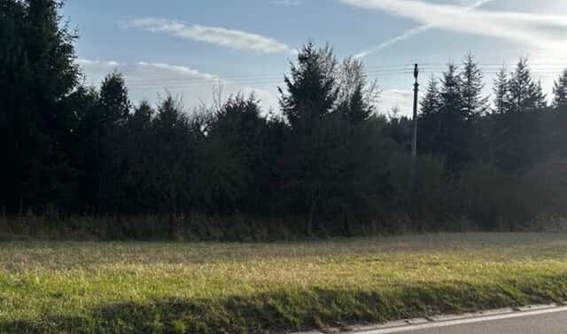 Prodej stavebního pozemku 1 159 m², Albrechtice nad Vltavou, okres Písek