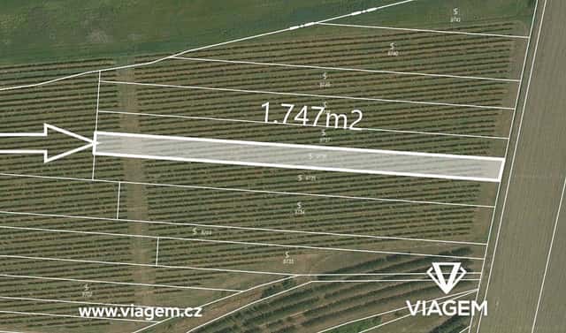 Prodej pole 1 747 m², Kobylí, okres Břeclav