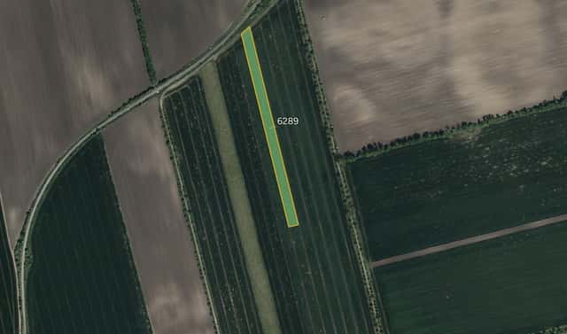 Prodej pole 10 196 m², Lipov, okres Hodonín
