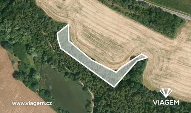 Prodej lesa 1 683 m², Dobříč, okres Plzeň-sever