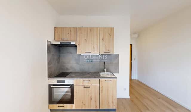 Pronájem bytu 1+1 33 m², Březenecká, Chomutov