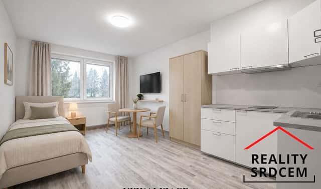 Pronájem bytu 1+kk 28 m², Radotínská, Bílovec, okres Nový Jičín