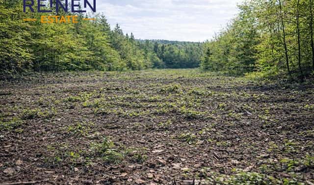 Prodej lesa 14 554 m², Křelovice, okres Pelhřimov