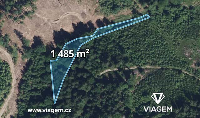 Prodej lesa 932 m², Vysoké nad Jizerou, okres Semily