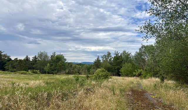 Prodej louky 16 399 m², Rybníky – Libice, okres Příbram