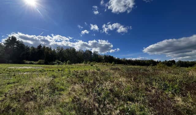 Prodej stavebního pozemku 1 272 m², Ralsko – Kuřívody, okres Česká Lípa