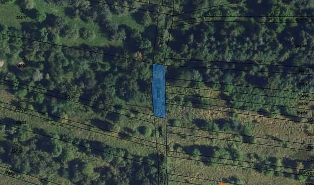 Prodej lesa 194 m², Jaroměřice, okres Svitavy