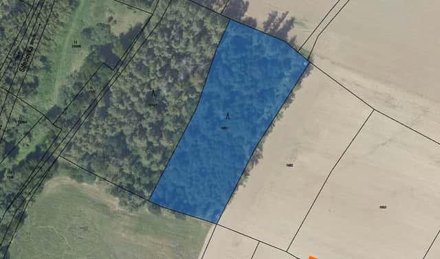 Prodej lesa 13 811 m², Ždánice, okres Kolín