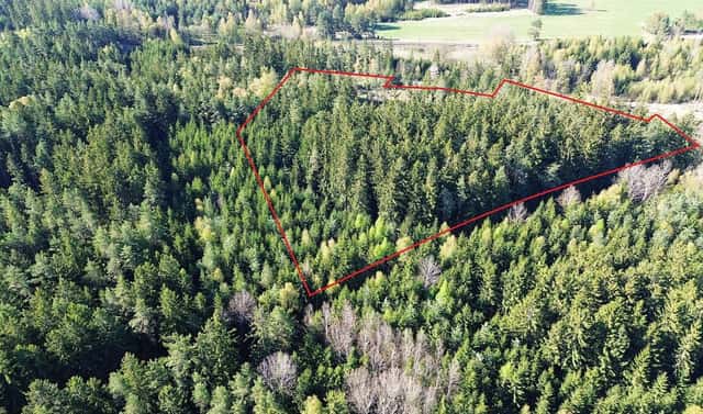 Prodej lesa 32 111 m², Bednáreček, okres Jindřichův Hradec