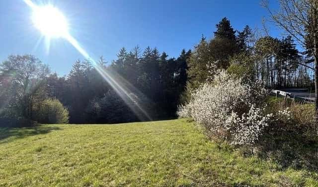 Prodej stavebního pozemku 3 287 m², Blansko