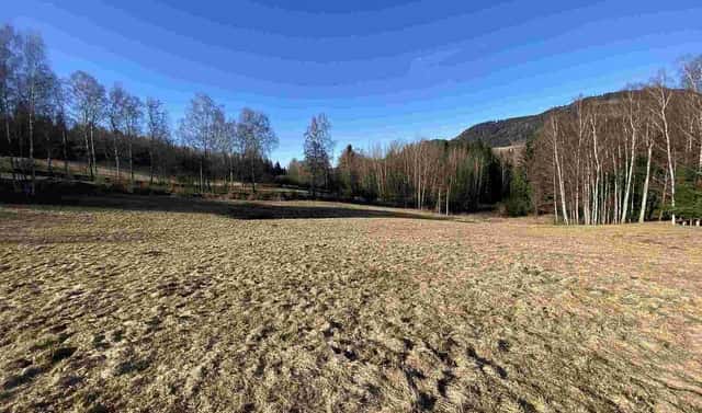 Prodej pozemku 11 266 m², Bernartice, okres Trutnov