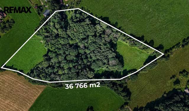 Prodej louky 36 931 m², Mírová pod Kozákovem, okres Semily