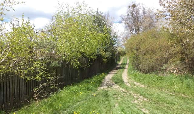 Prodej pozemku 3 225 m², Vítkov, okres Opava