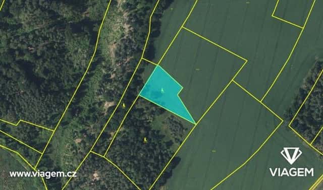 Prodej pole 5 729 m², Plužná, okres Mladá Boleslav