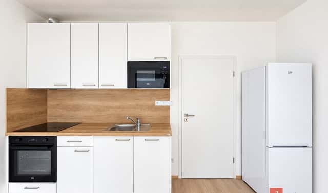 Pronájem bytu 1+kk 33 m², Železná, Plzeň – Jižní Předměstí, okres Plzeň-město