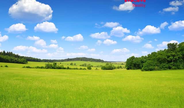 Prodej louky 15 452 m², Kouty, okres Havlíčkův Brod