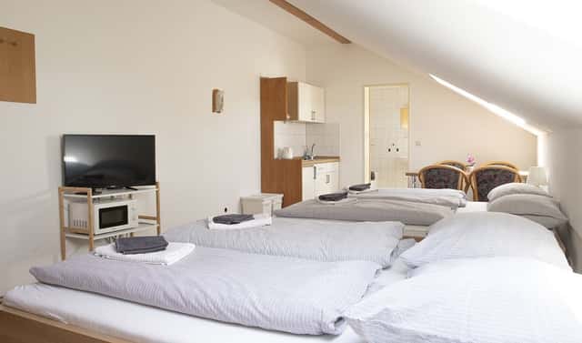 Prodej bytu 1+kk 30 m², Lipno nad Vltavou, okres Český Krumlov