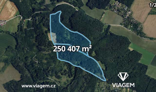 Prodej lesa 29 076 m², Troubsko, okres Brno-venkov