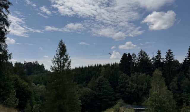 Prodej lesa 10 342 m², Jedlí, okres Šumperk
