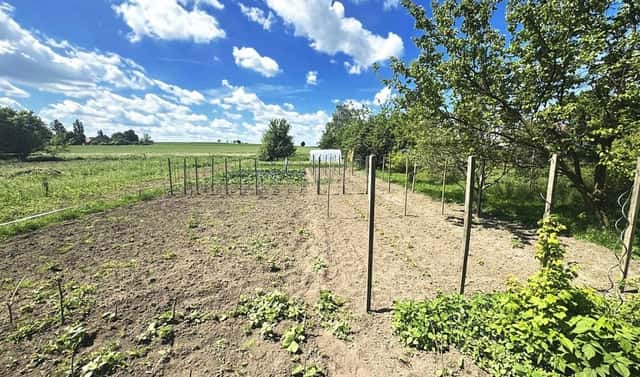 Prodej zahrady 1 306 m², Dolní Bezděkov, okres Chrudim