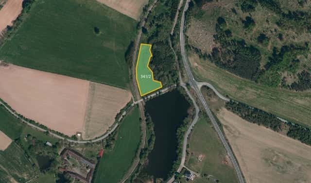 Prodej louky 5 986 m², Oslavička, okres Žďár nad Sázavou