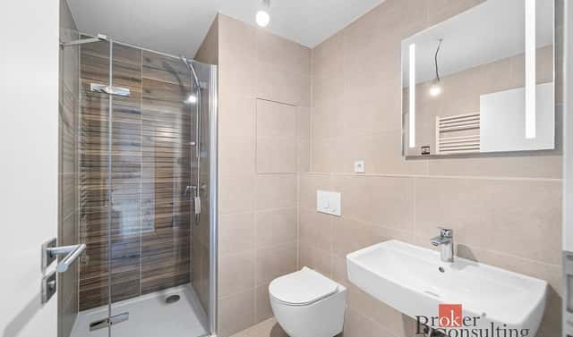 Pronájem bytu 1+kk 27 m², Železná, Plzeň – Jižní Předměstí, okres Plzeň-město