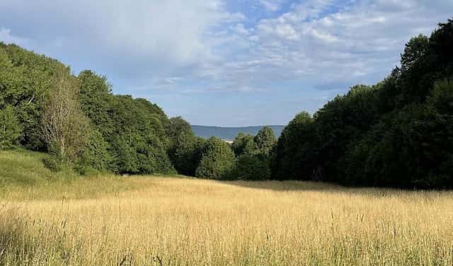 Prodej pozemku 50 152 m², Útěchov – Čivice, okres Svitavy