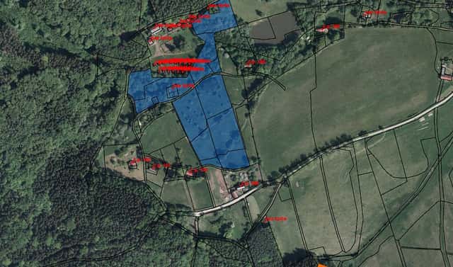 Prodej komerčního pozemku 31 884 m², Božanov, okres Náchod