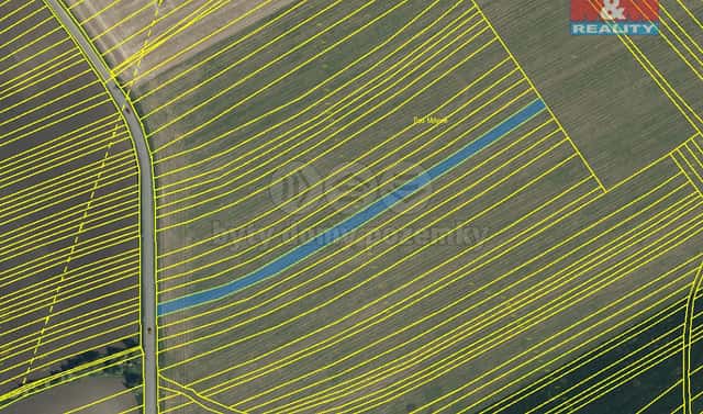 Prodej pole 2 665 m², Radějov, okres Hodonín